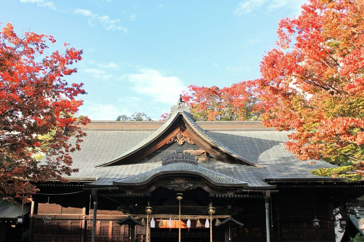 紅葉に囲まれた神社の社殿。黒い屋根瓦と赤い紅葉のコントラスト